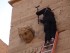 27470AC200000578-3025502-In_the_video_ISIS_thugs_balanced_on_top_ladders_are_filmed_smash-a-10_1428150832798