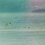 New Underwater Recording May Prove ‘Champ’ Lake Monster Exists