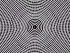 23F7EC3100000578-2869829-image-a-1_1418296040263