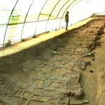 Ancient Chinese Tomb Found with Chariots and Horses