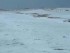 intense_hail_storm_jan_19_2015_uae