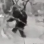 Big Foot Spotted in Russian Forest VIDEO