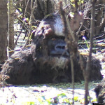 ‘Big Foot’ Seen Bathing in Florida River