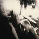 Is This the Real Roswell Crash Footage?