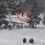 Bigfoot Caught on Yellowstone Webcam
