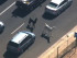 llamas
