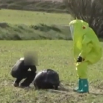 Mysterious Black Orb from Space Found on Spanish Goat Farm