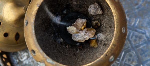 Proxy Ponder News Frankincense Molecule discovered