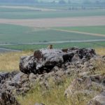 Mysterious Ancient Dolmens Found in Israel VIDEO